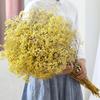 90 г Букет из сушеных цветов гипсофилы Натуральные сухие цветы Гипсофила День Святого Валентина Свадебное украшение Домашний стол Рождественское украшение