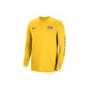 Nike Logo Casual Crew Neck Pullover Long Sleeve Soccer Jersey Player Edition 23-24 Season Los Angeles Lakers Unisex Jersey Gold DX9436-728