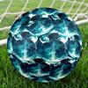 The Legend of Zelda Print Size 5 Soccer Ball, Standard Match Football for Sports Game and Team Practice, Ideal Gift for Soccer Fans