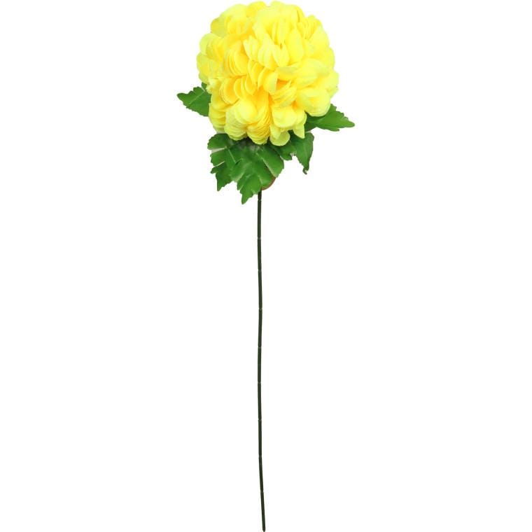 Chrysanthemum single ball-shaped flower in yellow
