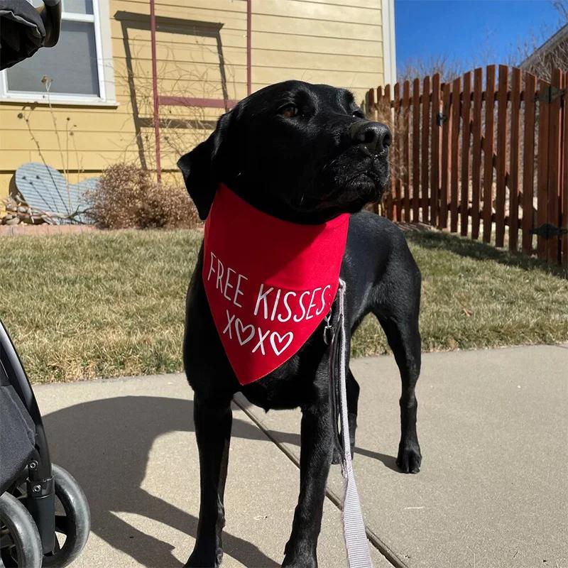 Free Kisses XOXO Pet Dog Boy Girl Red Bandana Scarf Happy Valentine's Day Decoration Dog Lover Mom Dad Gift Present Photo Props