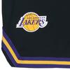 Nike Мужские шорты Los Angeles Lakers DNA Elite, черные AV0149-010