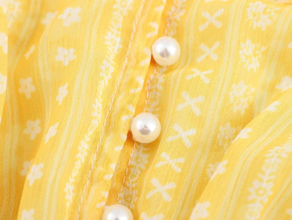 2025 Spring Women's European & American Style Floral Chiffon Long Sleeve Dress