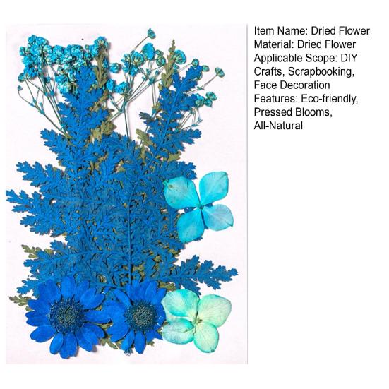 10 Pcs Pressed Dried Flowers Flat Real Dried Blooms All-Natural Colored Dried Flowers for DIY Crafts Scrapbooking Face Decoration