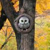 1 шт. Сова Обниматель дупла дерева декор дерева, Садовые статуи Сова, Искусство природы в деревенском стиле Фигурка совы для внутреннего и наружного двора Украшения для дерева,