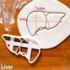 Human Organs Cookie Cutter Heart Brain Shape Fondant Icing Biscuit Mold Party Cake Decoating Baking Tools Kitchen Accessories