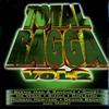 LP Record VARIOUS - Total Ragga Volume 2 FAMLP004 Famouse/Jet Sta 1999 UK Регги, Ска и Даб