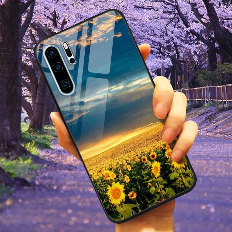 Чехол для телефона Huawei P30 Pro Lite Чехол Закаленное стекло Космический Волк Лев Funda для HUAWEI P30 Lite Роскошные чехлы P30Pro P 30 Кошка