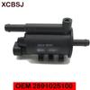 2891025100 Клапан управления продувкой адсорбера для Kia Rondo Carens Sorento 06-14 для Hyundai TUCSON ix35 10- SORENTO SANTA FE 09