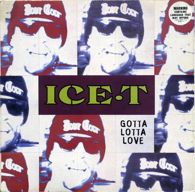 12-дюймовая пластинка ICE-T - Gotta Lotta Love SYNDT3,72438923 Rhyme $yndicate 1994 UK Танцевальная и Электронная Б/У