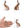 Rabbit Desktop Ornaments Simulated Zoo Rabbit Model Animal Figurine Home Decor Educational Toys