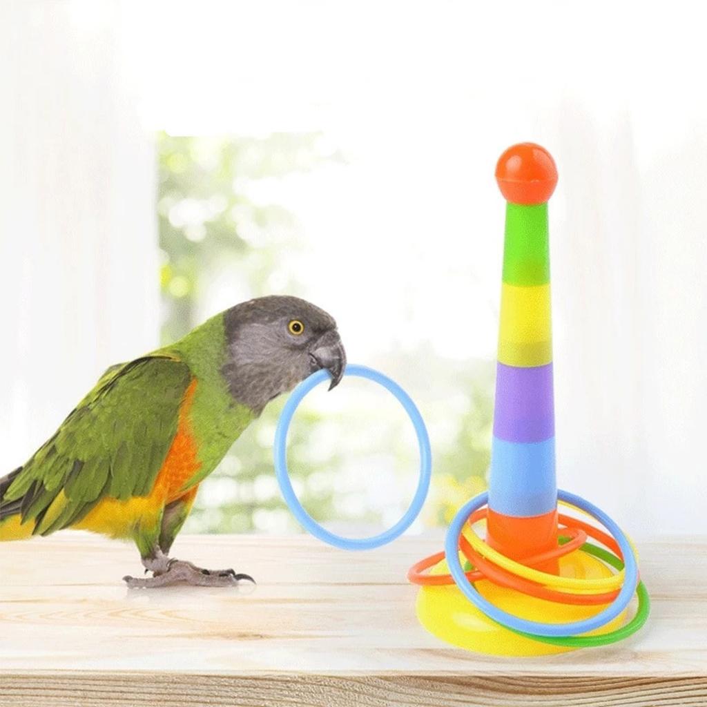 Bird Training Toys Set Parrot Intelligence Toy Colorful Safe Material for Budgie Parakeet Cockatiel Macaw 4 Sorts