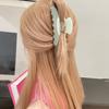 Girls Shark Clip Acetic Acid Hair Clip Female Hair Accessories Korean Style Headwear Hair Claw