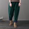 Winter Autumn Women's Vintage Pants Solid Color Elastic Waist Trouser Spring Thick Warm Pockets Fleece Women Harem Pants