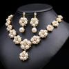 Exquisite Claw Chain Jewelry Set Luxury Necklace Earrings Set Pearl Necklaces Earrings  Women