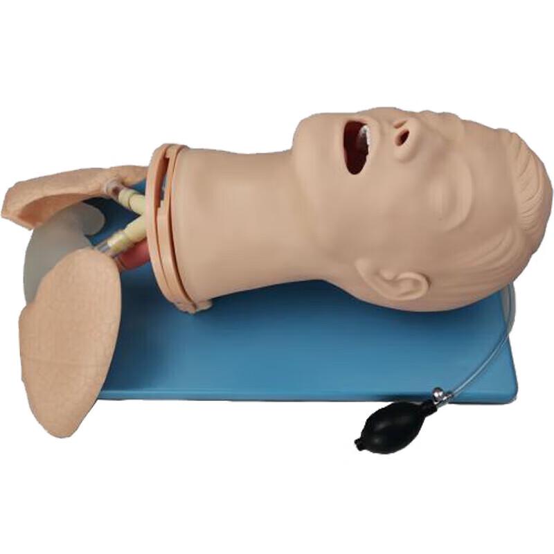 Medical & Healthcare Training Simulators