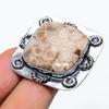 Fossil Coral Handmade 925 Sterling Silver Jewelry Ring Size 8 W0q31