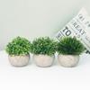 3 упаковки мини-искусственных растений, искусственный горшок с зеленой травой, наборы искусственных растений для моделирования для дома