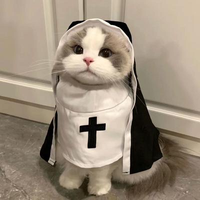 Хэллоуин Одежда для собак Милый Костюм монахини Косплей для питомцев Для маленьких больших собак Принт креста Макияж Наряды чихуахуа Кошек Подарок