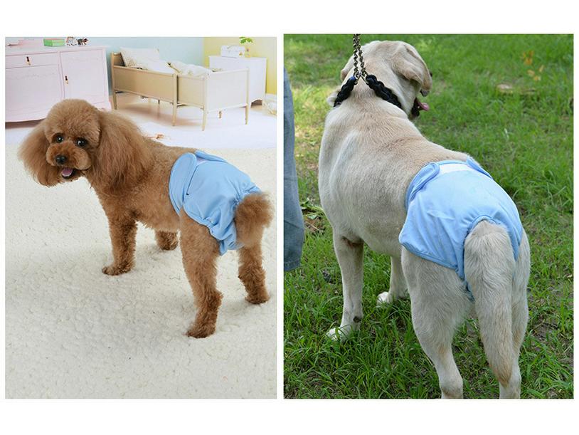 Pet Dog Clothes: Velcro Anti-Harassment Pants for Small To Large Breeds (Teddy, Golden Retriever, Labrador) for Menstrual and Physiological Needs.
