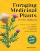 Книга Foraging Medicinal Plants of New England : How To Safely Identify and Prepare Over 100 Medicinal Plants for Herbal Remedies