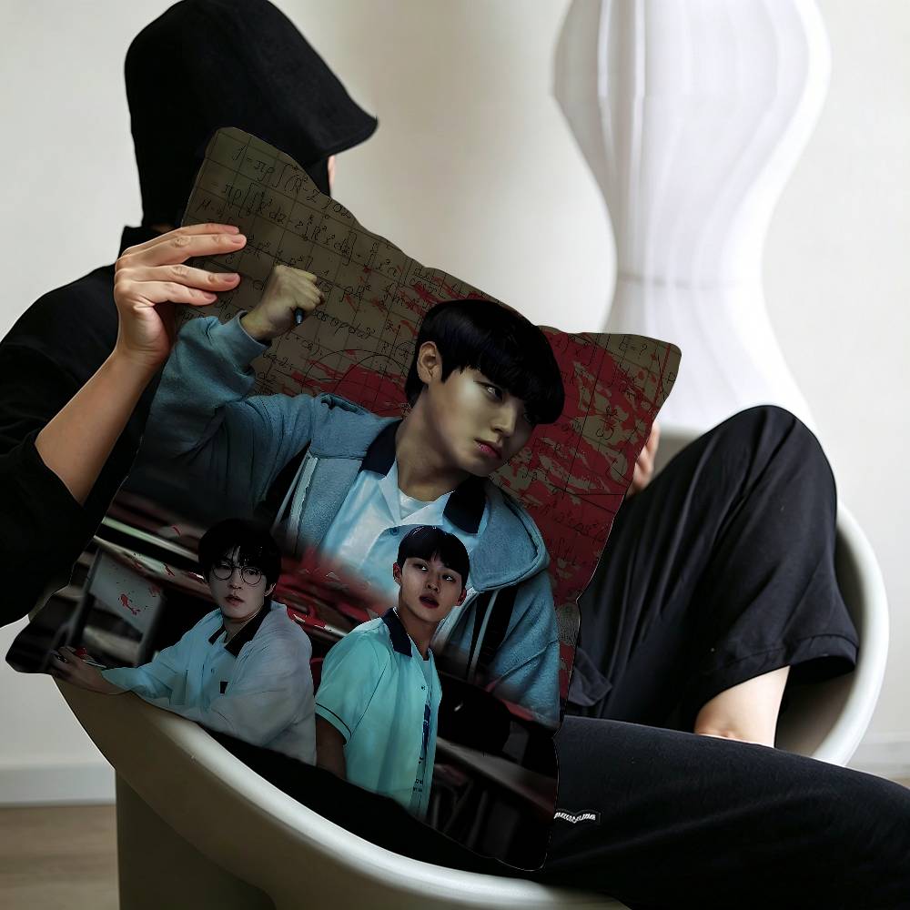Movie WWeak Hero Class B Cushion Cover Polyester Sofa Cushions Decorative Throw Pillows Home Decoration Pillowcover