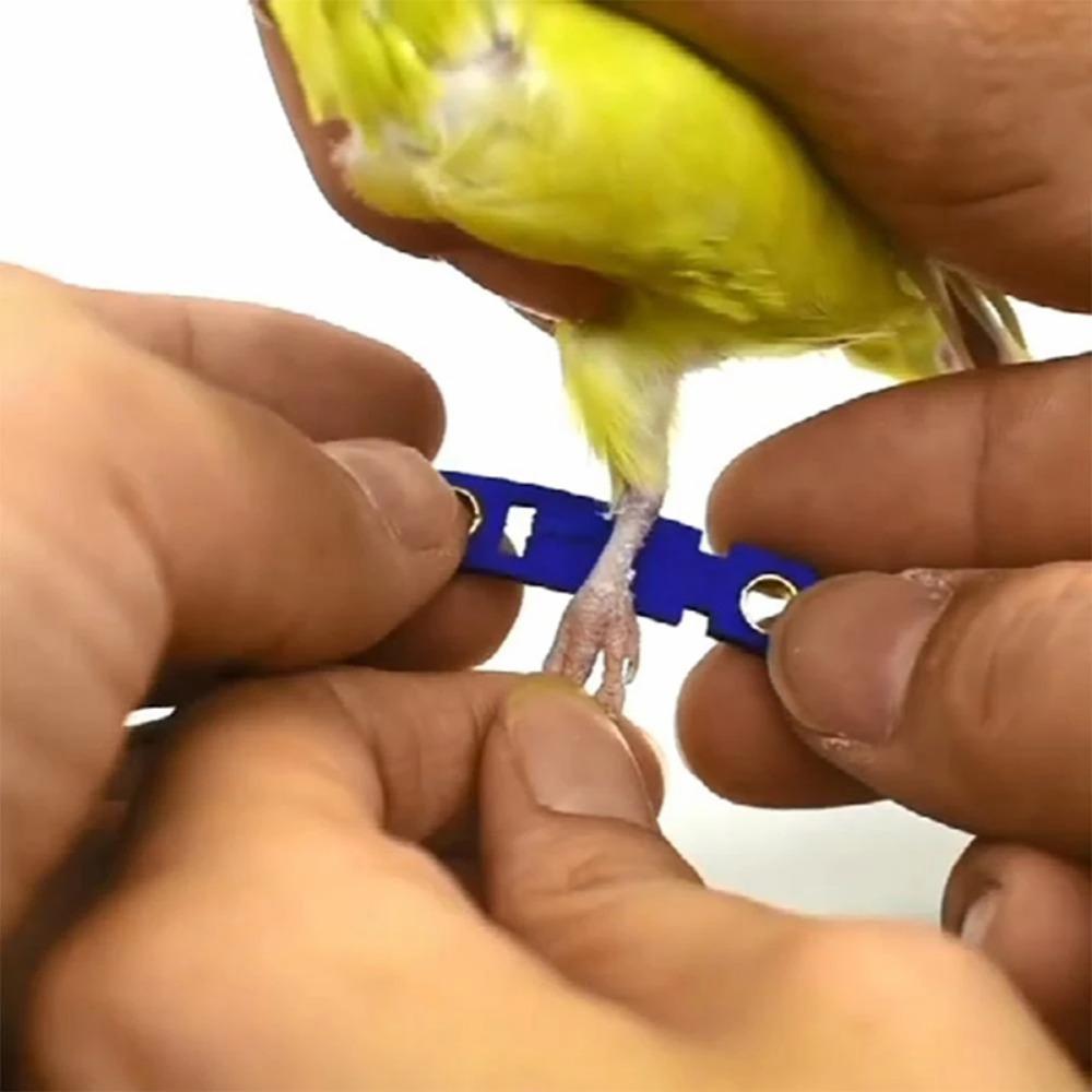 Велюровая Кожаная Аксессуары для Животных Покрытие для Лапок Птицы Кольцо на Ножку Попугая Кольца-Застежки для Птиц Цепочка на Лодыжку