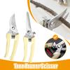Pruner Scissor Hand Tools Bonsai for Gardening Stainless Steel Pruning Shear Branch Tool Shear Gardening Fruit Tree Pruning Tool