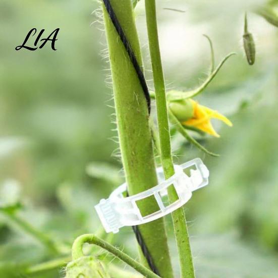 Adjustable Plant Support Clips, Plastic Vine Reusable Tomato Stem Anti Aging Garden Clips for Vegetables, Climbing Plants, Trellis, Netting Holders