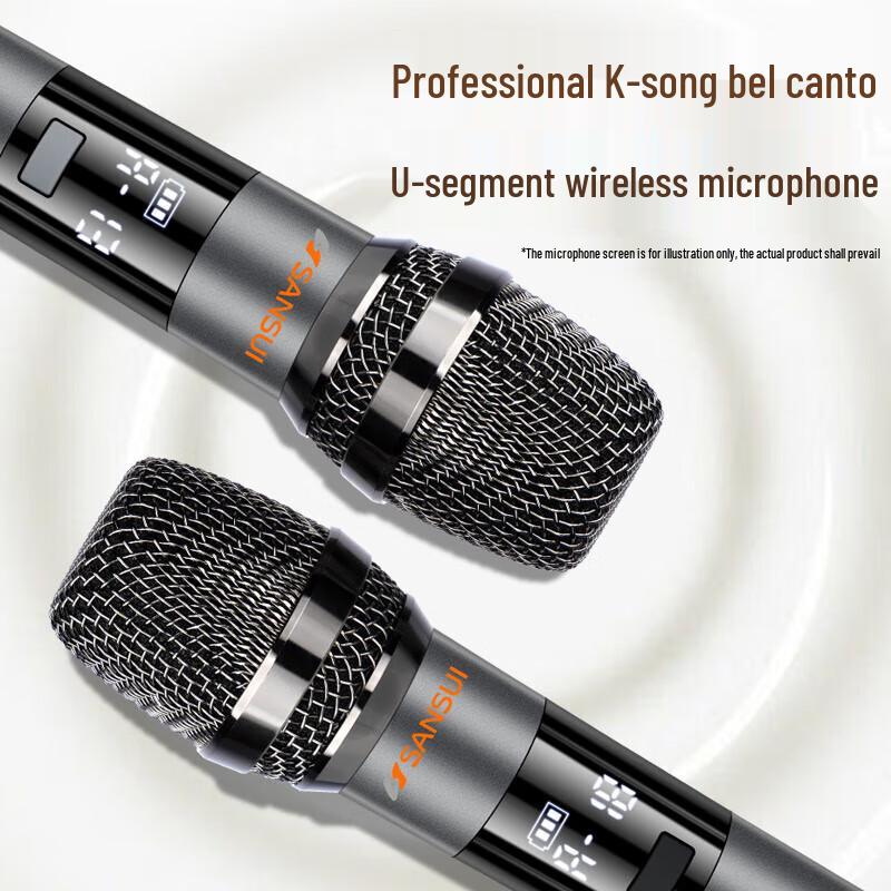 Sansui Portable KTV Bluetooth Speaker with Screen CN plug (adapter included)
