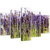 Five Piece Picture Canvas Print Lavender Flowers Nature