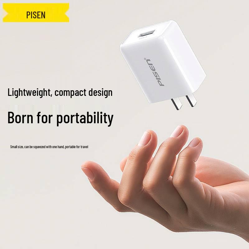PISEN 10 Вт USB-зарядное устройство для Apple Earbuds и Power Banks, выход 5 В/1 А/2 А