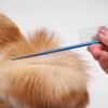 Non-rust Pet Flea Comb Practical Stainless Steel Colorful Dog Grooming Comb Dense Tooth Pet Hair Comb for Dogs Puppy Cats