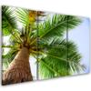 Картина из трех частей, печать на холсте Palm