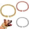 Glamorous Gold Dog Collar Necklace With Sparkling Rhinestones