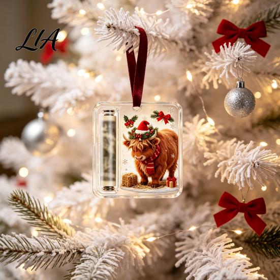 Decorative Money Container Christmas Holder Ornaments for Cash, Clear Acrylic Xmas Tree Cash Graduation Gift Hanging Decorations Holiday Party Favors,