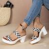 Women Woven Wedge Heel High Heels Summer New European American Fashion Sexy Sandals Banquet Party Casual Slippers Wear-resistant