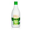 Shampooing Purifiant 750ml - Tea Tree + Menthe