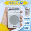SUCCUL Pocket Radio FM AM Wide FM Compatible AA Batteries Minnie Radio Small Radio Portable Radio Commuter Radio High Sensitivity Portable Disaster