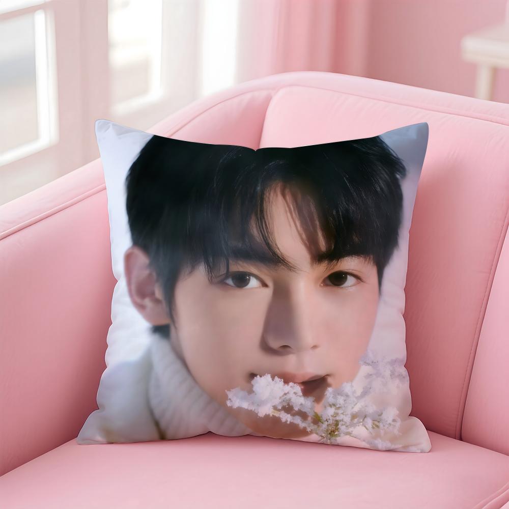 Korea KPOP TTWS YYOUNGJAE Cushion Cover Pillowcase Short Plush Invisible zipper Room Sofa Cushion Cover