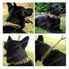 Stealth Leopard Nylon Training Dog Collar