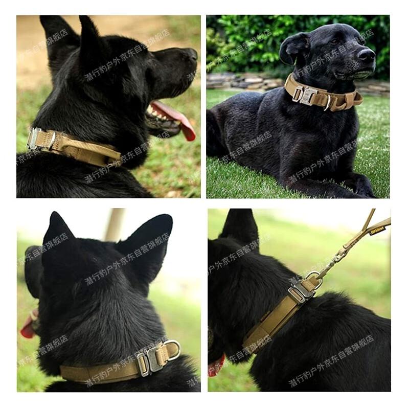 Stealth Leopard Nylon Training Dog Collar