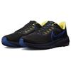 Air Zoom Pegasus 39 Low Черный - DZ4846-001