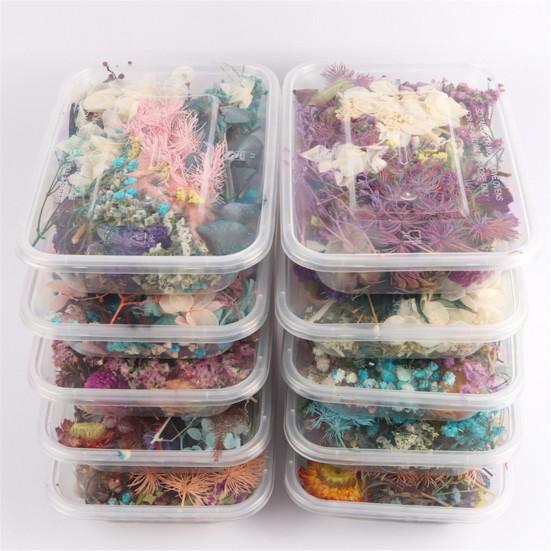 Real Dried Flower Material Plant Specimen Making Scrapbook Crafts Accessories
