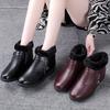 New Winter Women Boots Thick Plush Woman's Ankle Boots Zipper Comfortable Outdoor Snow Boots Fashion Cotton Shoes