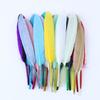 Natural Goose Feather 10-15cm Colorful Feather for Crafts DIY Jewelry Headress Carnival Dream Catcher Plumes Decor