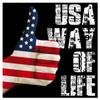 [R2612] - Canvas 'America' USA Way of Life (thumb) - 40x40cm