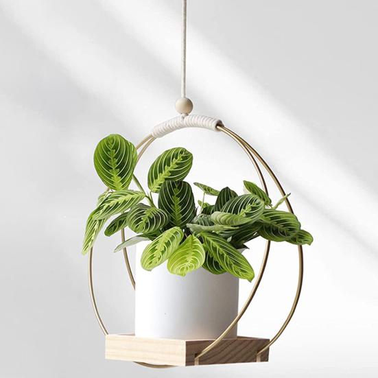 Подвесная подставка для растений, универсальный держатель для цветочных горшков с деревянным основанием, компактный держатель для растений в помещении