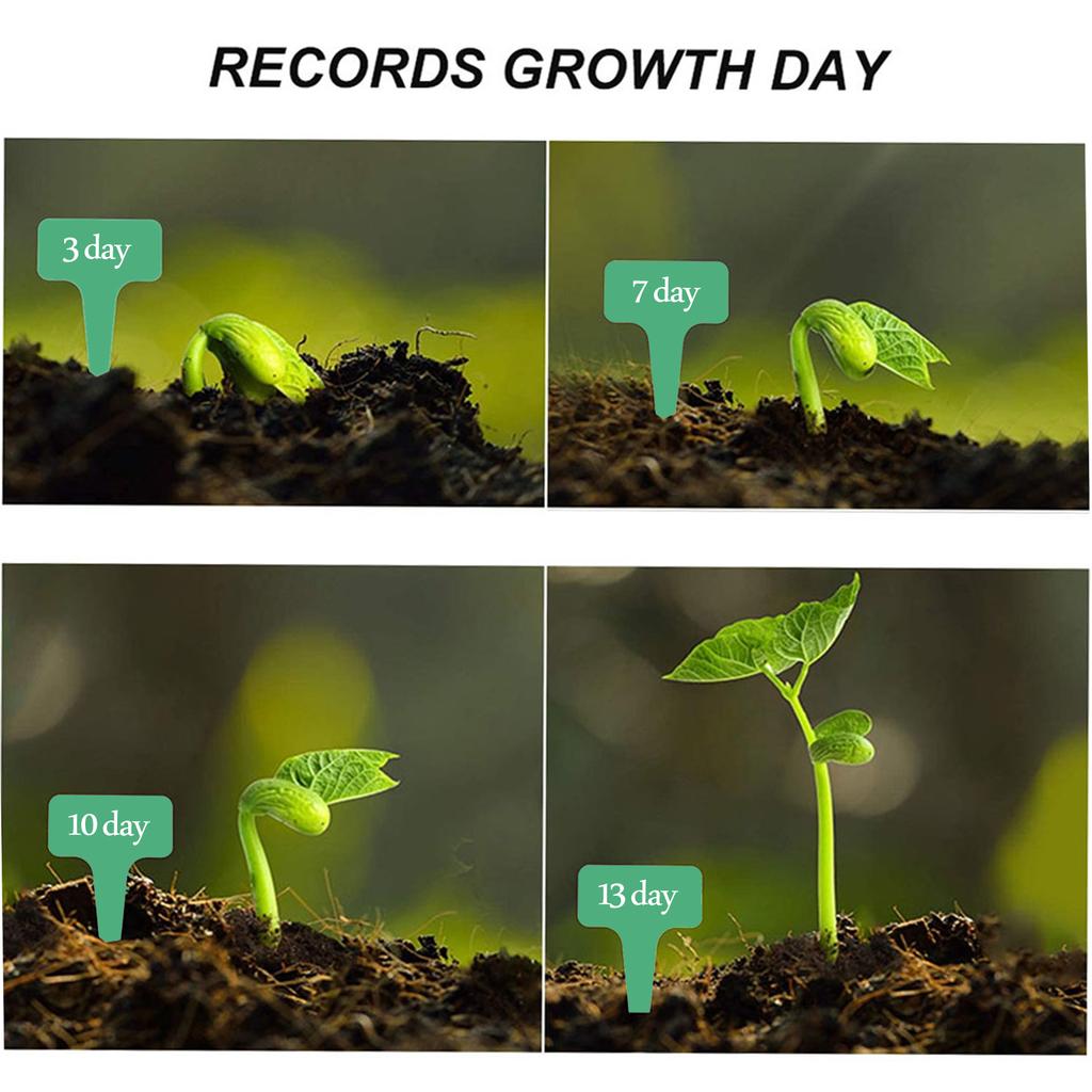 Устройство для блокировки почвы Устройство для создания блоков почвы 2 дюйма, 8-ячеечный набор инструментов для блокировки почвы с семенными штифтами 3 размеров