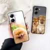 Bichon Frise Pomeranian Dog Phone Case for Samsung Galaxy Note 20 9 10 S8 S10 Lite S9 Plus A54 A53 A21S S10E A17 Cover Casing